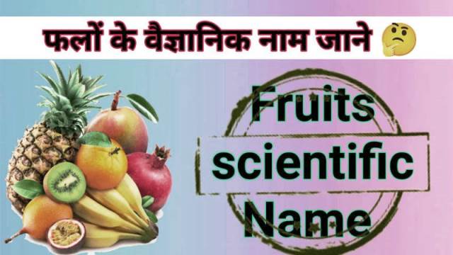 वैज्ञानिक नाम (फल, सब्जी, फसल): Scientific Name list in Hindi