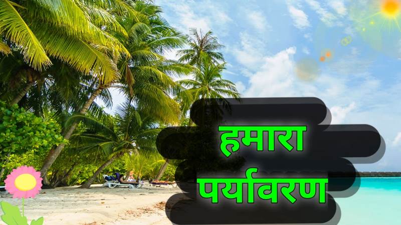 About Environment in Hindi