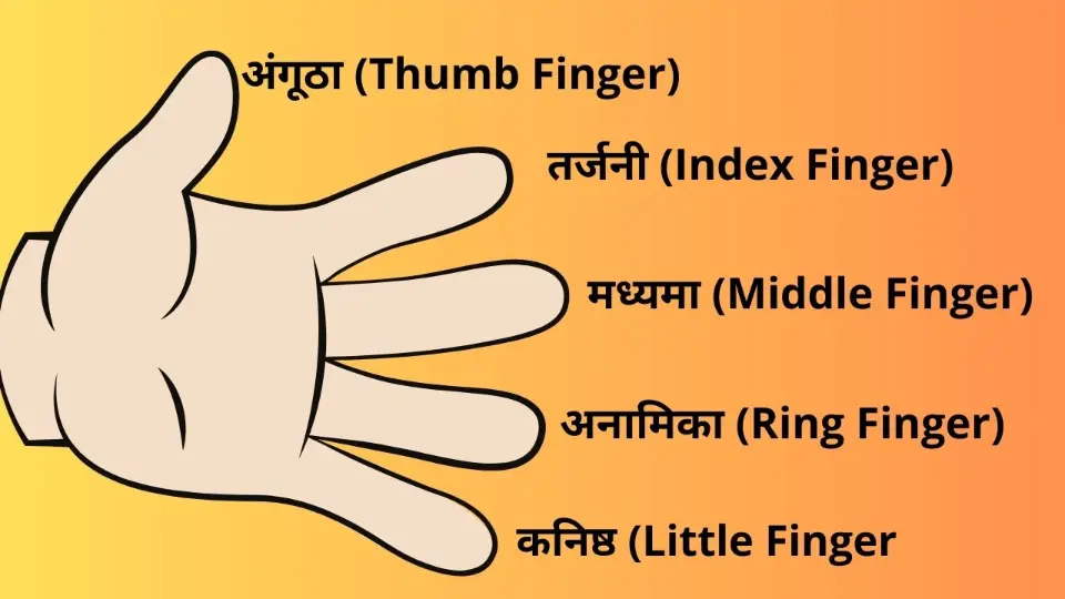 उंगलियों के नाम - Fingers Name In Hindi 