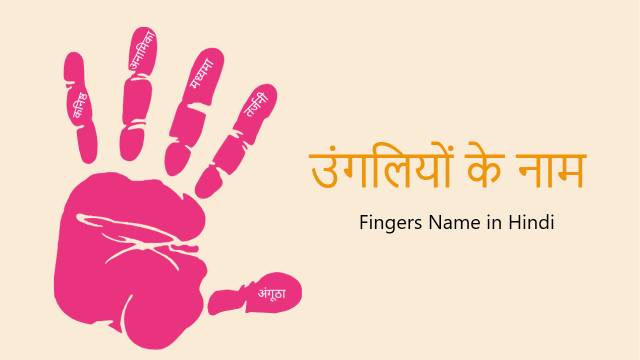 Fingers Name In Hindi